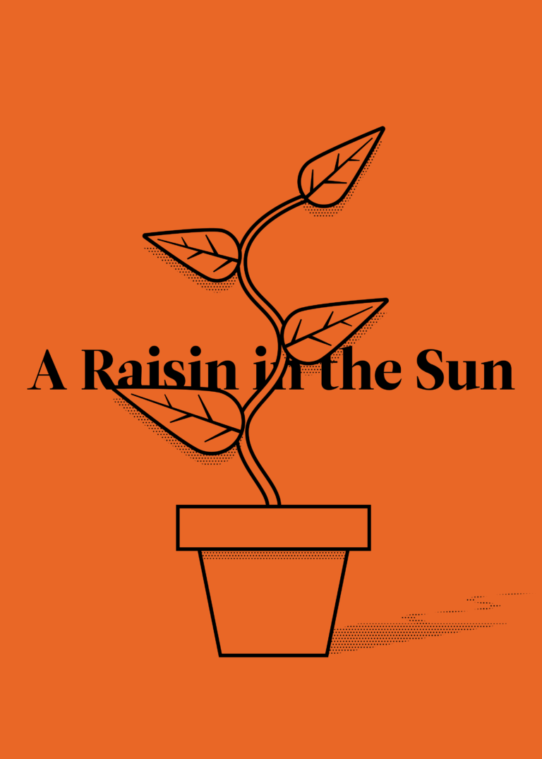 A Raisin in the Sun